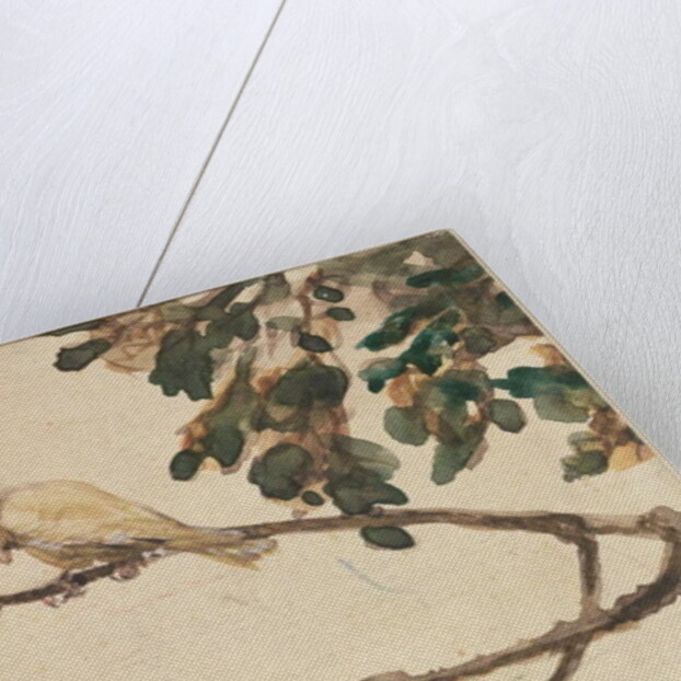 Canary on an Oak Tree Branch by Adolph Friedrich Erdmann von Menzel