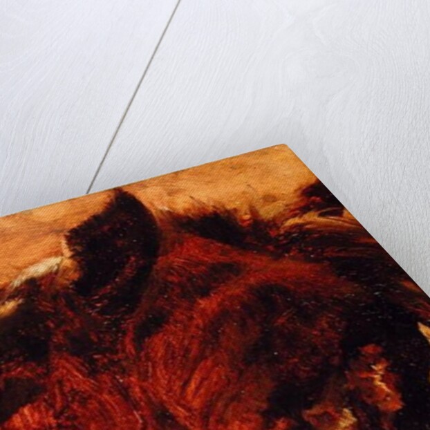 Head of a Dead Horse, 1848 by Adolph Friedrich Erdmann von Menzel