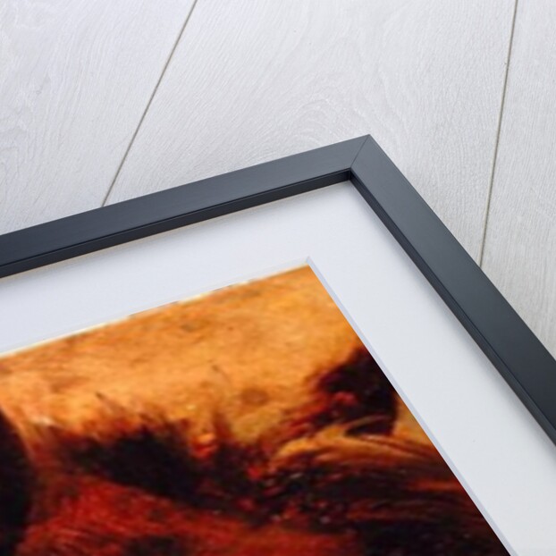 Head of a Dead Horse, 1848 by Adolph Friedrich Erdmann von Menzel