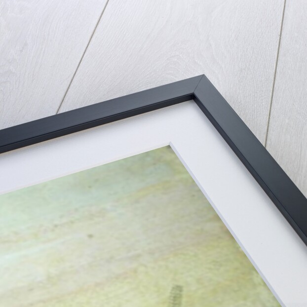 Enjoying the Ice, 1630 by Hendrik Avercamp