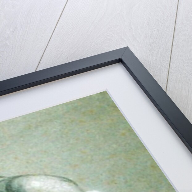 Female Nude by Jacob Adriensz Backer