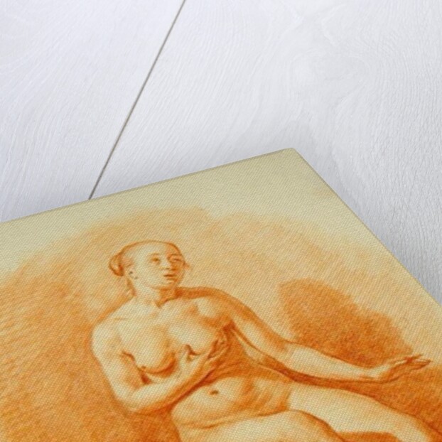 Female Nude, 1660 by Adriaen van de Velde