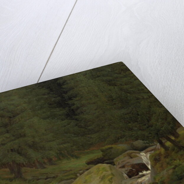 The Evergreens by the Waterfall by Caspar David Friedrich