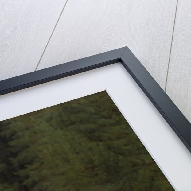 The Evergreens by the Waterfall by Caspar David Friedrich