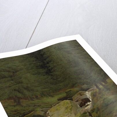 The Evergreens by the Waterfall by Caspar David Friedrich