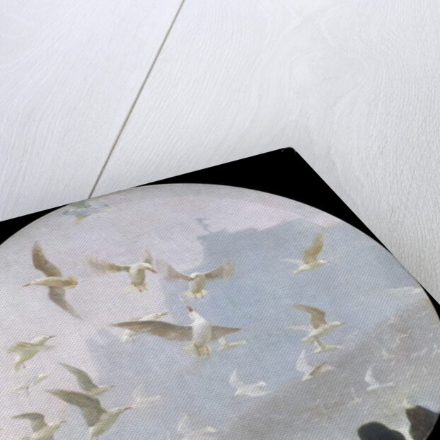 Seagulls over the Alster, c.1905 by Julius August Friedrich Theodor von Ehren