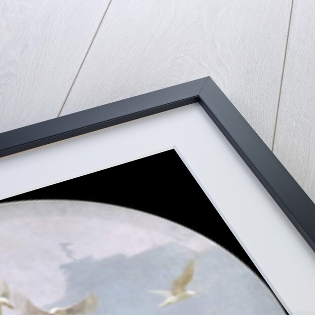 Seagulls over the Alster, c.1905 by Julius August Friedrich Theodor von Ehren