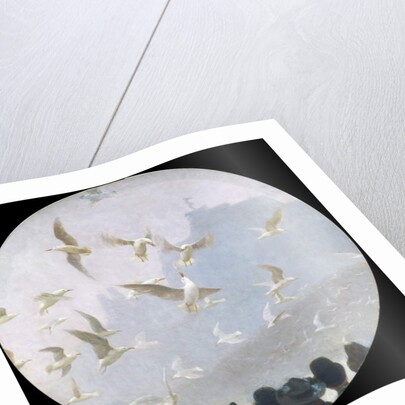 Seagulls over the Alster, c.1905 by Julius August Friedrich Theodor von Ehren