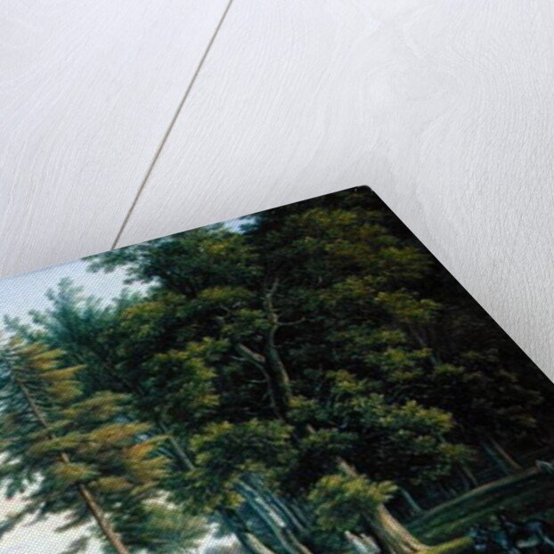 A Meadow in Hamburg by Joachim Faber