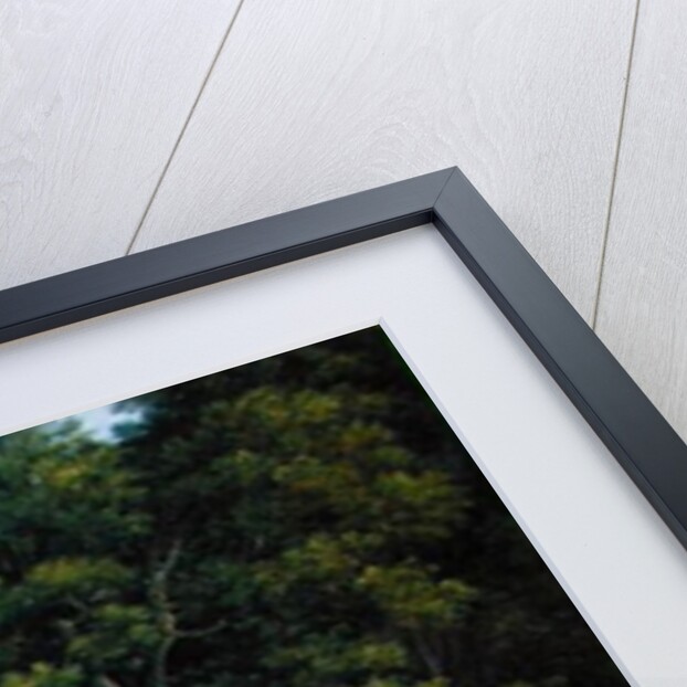 A Meadow in Hamburg by Joachim Faber