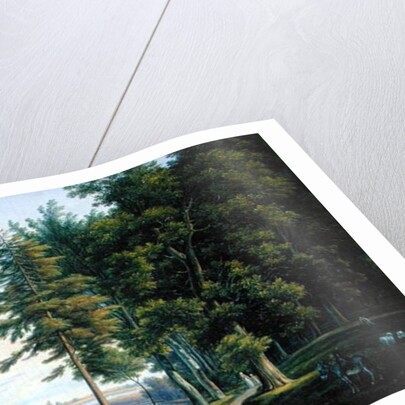 A Meadow in Hamburg by Joachim Faber