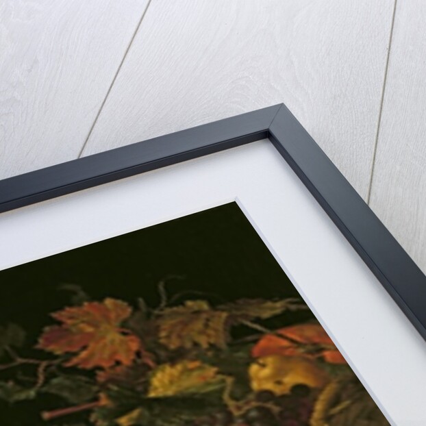 Fruit Still Life by Christian Berentz