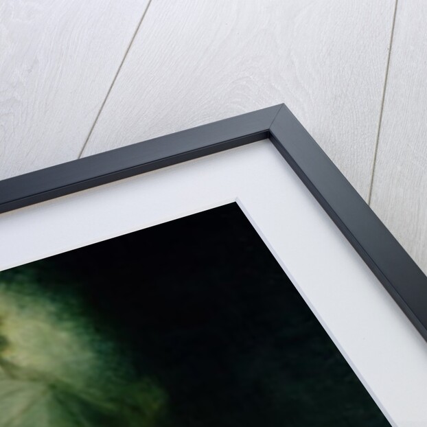 The Creation of Eve, 1791-93 by Henry Fuseli