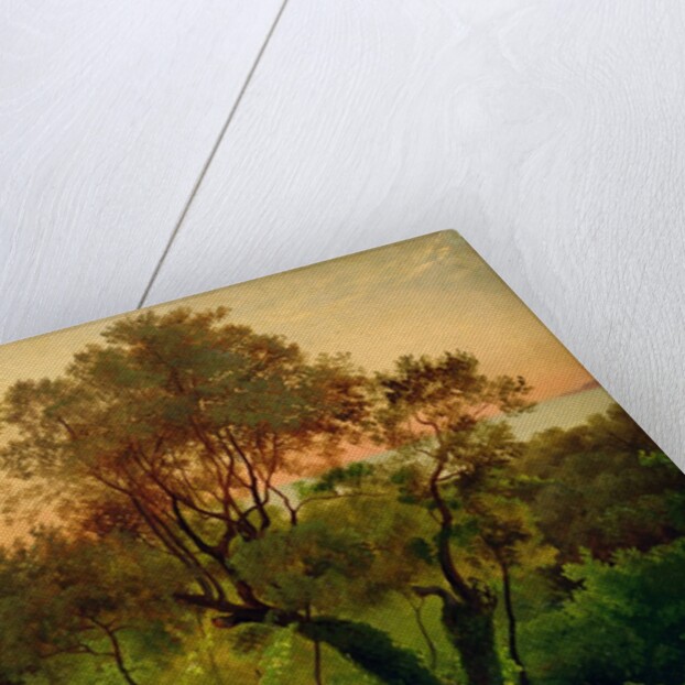 Slope with Olive Trees by Louis Gurlitt