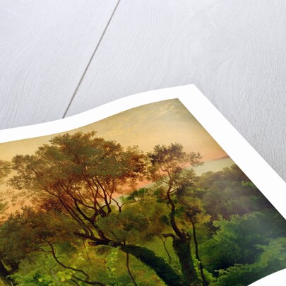 Slope with Olive Trees by Louis Gurlitt