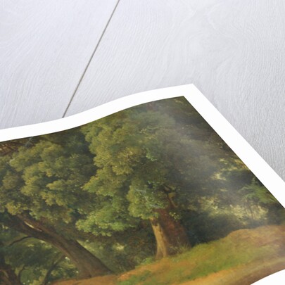 Oak Trees in Holstein by Louis Gurlitt