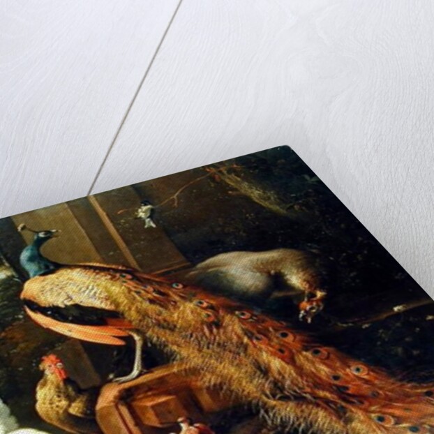 Revolt in the Poultry Coup by Melchior de Hondecoeter