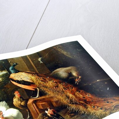 Revolt in the Poultry Coup by Melchior de Hondecoeter