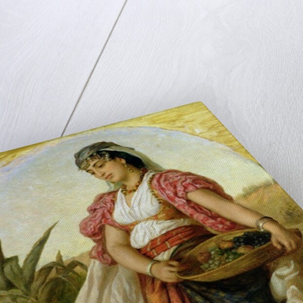 A Woman from Algiers, 1871 by John Evan Hodgson