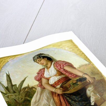 A Woman from Algiers, 1871 by John Evan Hodgson