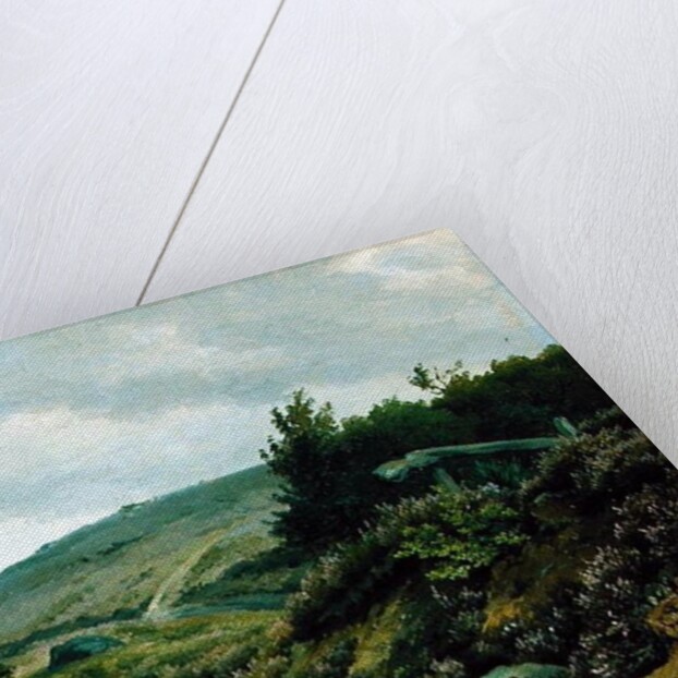 On the Moor by Marcus Johann Haeselich