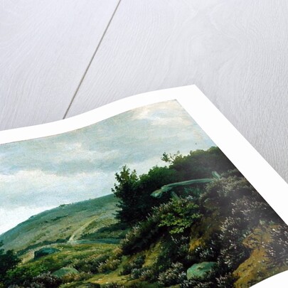 On the Moor by Marcus Johann Haeselich