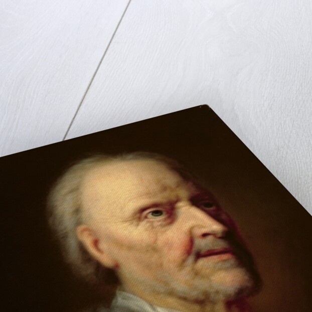 Portrait of an Old Man by Balthasar Denner