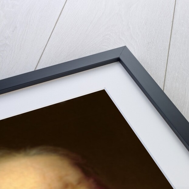 Portrait of an Old Man by Balthasar Denner