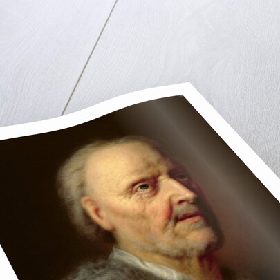 Portrait of an Old Man by Balthasar Denner