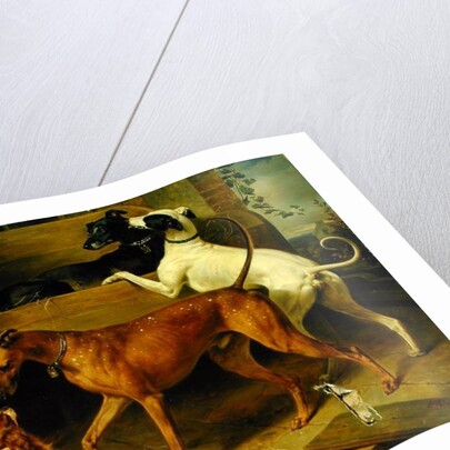 Kruger's Dogs, 1855 by Franz Kruger