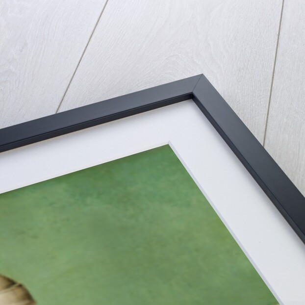 Portrait of the Judge Jacob Wilder by August Krafft