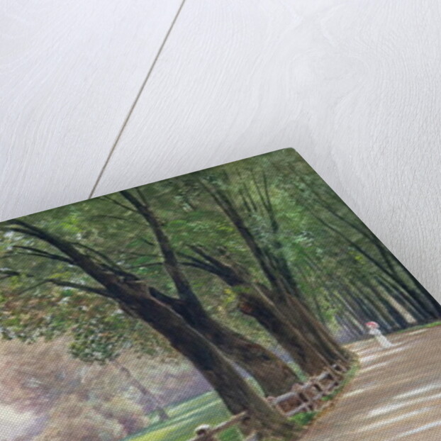 The Fontenay in Hamburg by Ascan Lutteroth