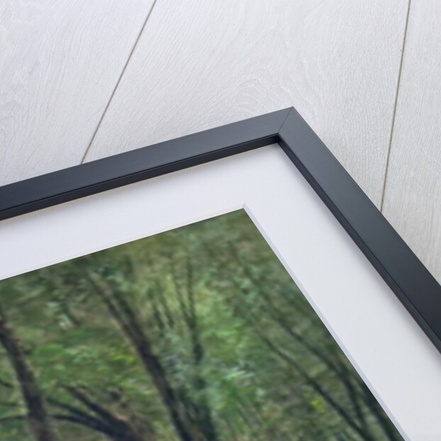 The Fontenay in Hamburg by Ascan Lutteroth