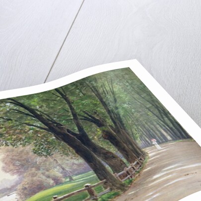 The Fontenay in Hamburg by Ascan Lutteroth