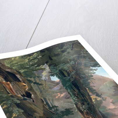 Old Elms, c.1835 by Friedrich Nerly