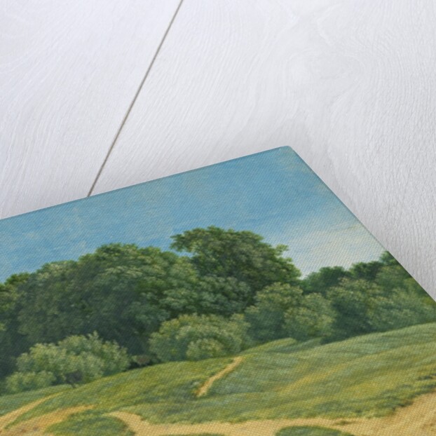 A Track Across the Fields by Wilhelm Alexander Kobell