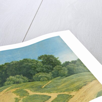 A Track Across the Fields by Wilhelm Alexander Kobell