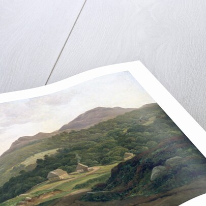 On the Swedish Coast, 1828 by Christian Ernst Bernhard Morgenstern