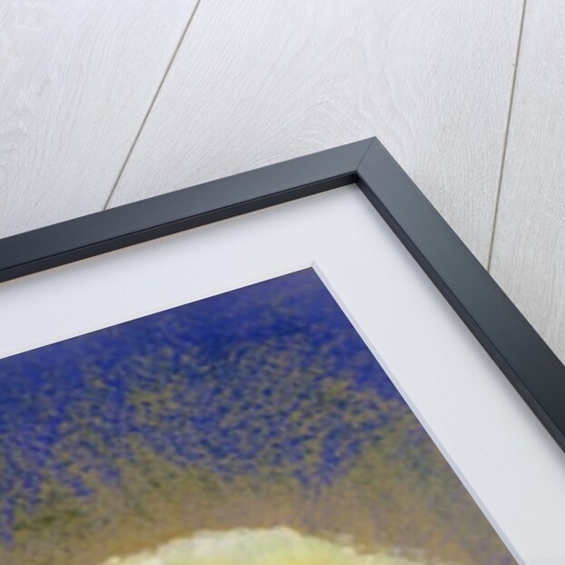 Profile of a Girl with Flowers, c.1900 by Odilon Redon