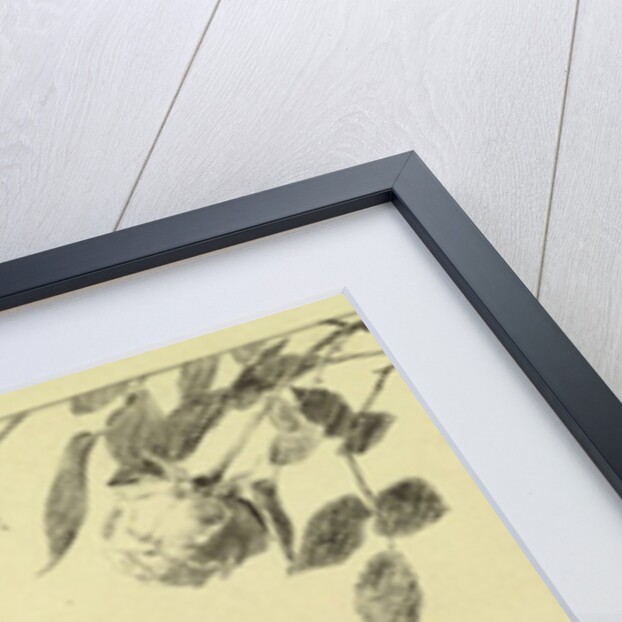 Love from a series of ten plates from 'Paraphrase on the Discovery of a Glove', published in 1881, 1878 by Max Klinger