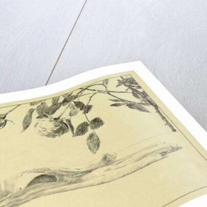 Love from a series of ten plates from 'Paraphrase on the Discovery of a Glove', published in 1881, 1878 by Max Klinger