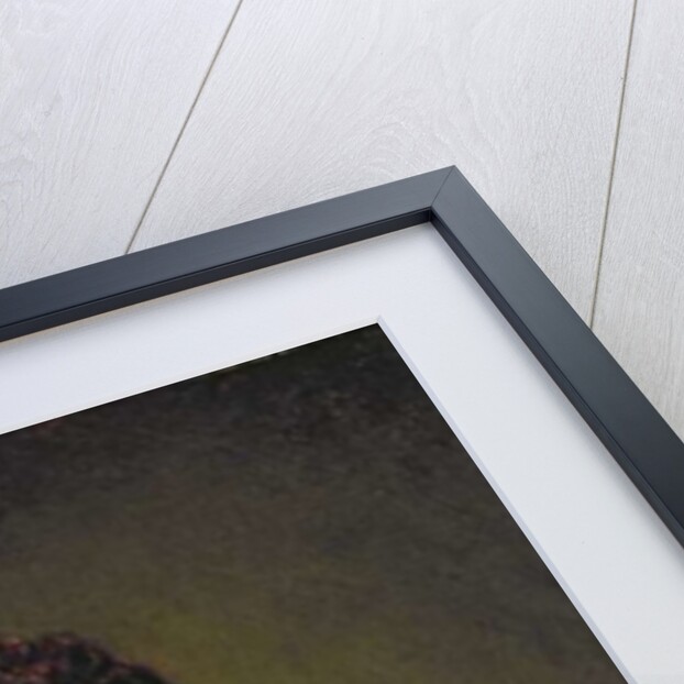 Portrait of Maurits Huygens, 1632 by Rembrandt Harmensz. van Rijn