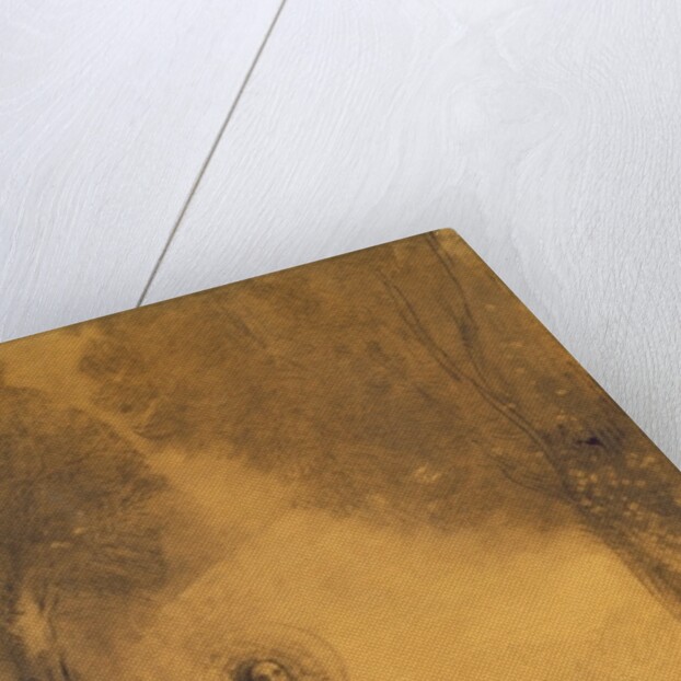 The Walker, Study for 'The walking Buddha'), 1890-95 by Odilon Redon