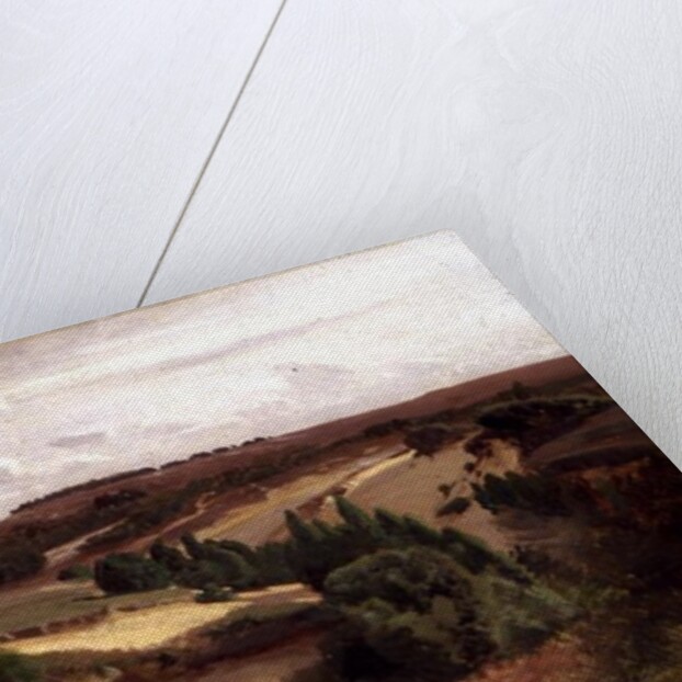 The heath near Bispingen, 1887 by Valentin Ruths