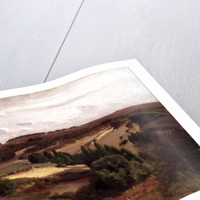 The heath near Bispingen, 1887 by Valentin Ruths