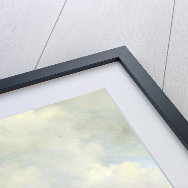 Landscape with a Hut, 1646 by Jacob Isaaksz. or Isaacksz. van Ruisdael