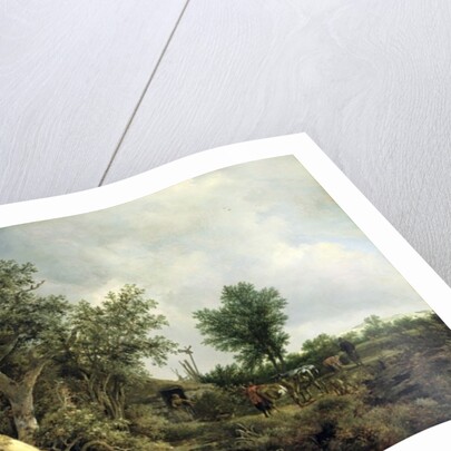 Landscape with a Hut, 1646 by Jacob Isaaksz. or Isaacksz. van Ruisdael