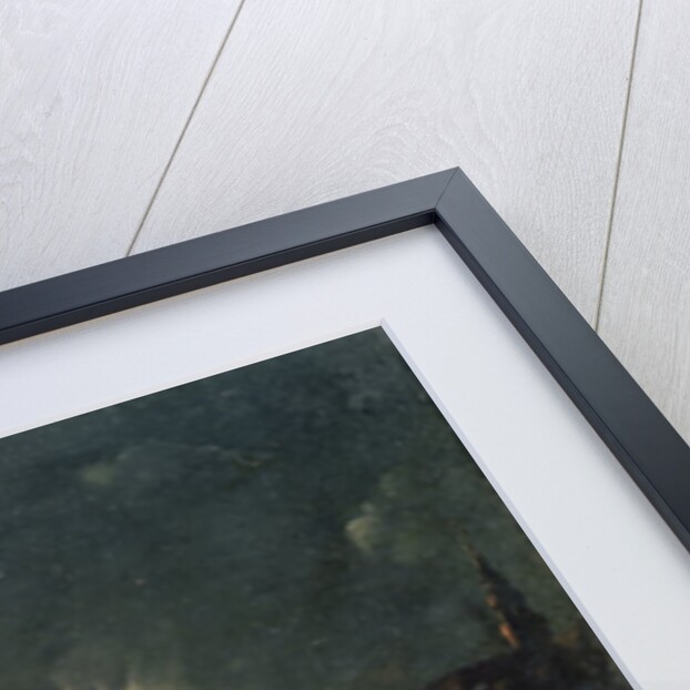 Binnenalster, 1764 by Jens Juel