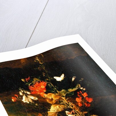 Flower Study by Otto Marseus van Schrieck