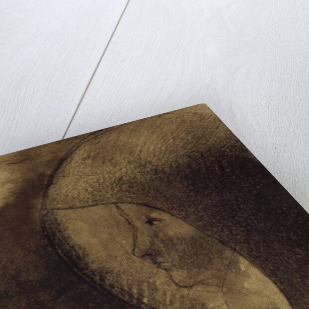 Cellular Face, 1895 by Odilon Redon